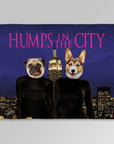 Manta personalizada para 2 mascotas 'Jorobas en la ciudad' 