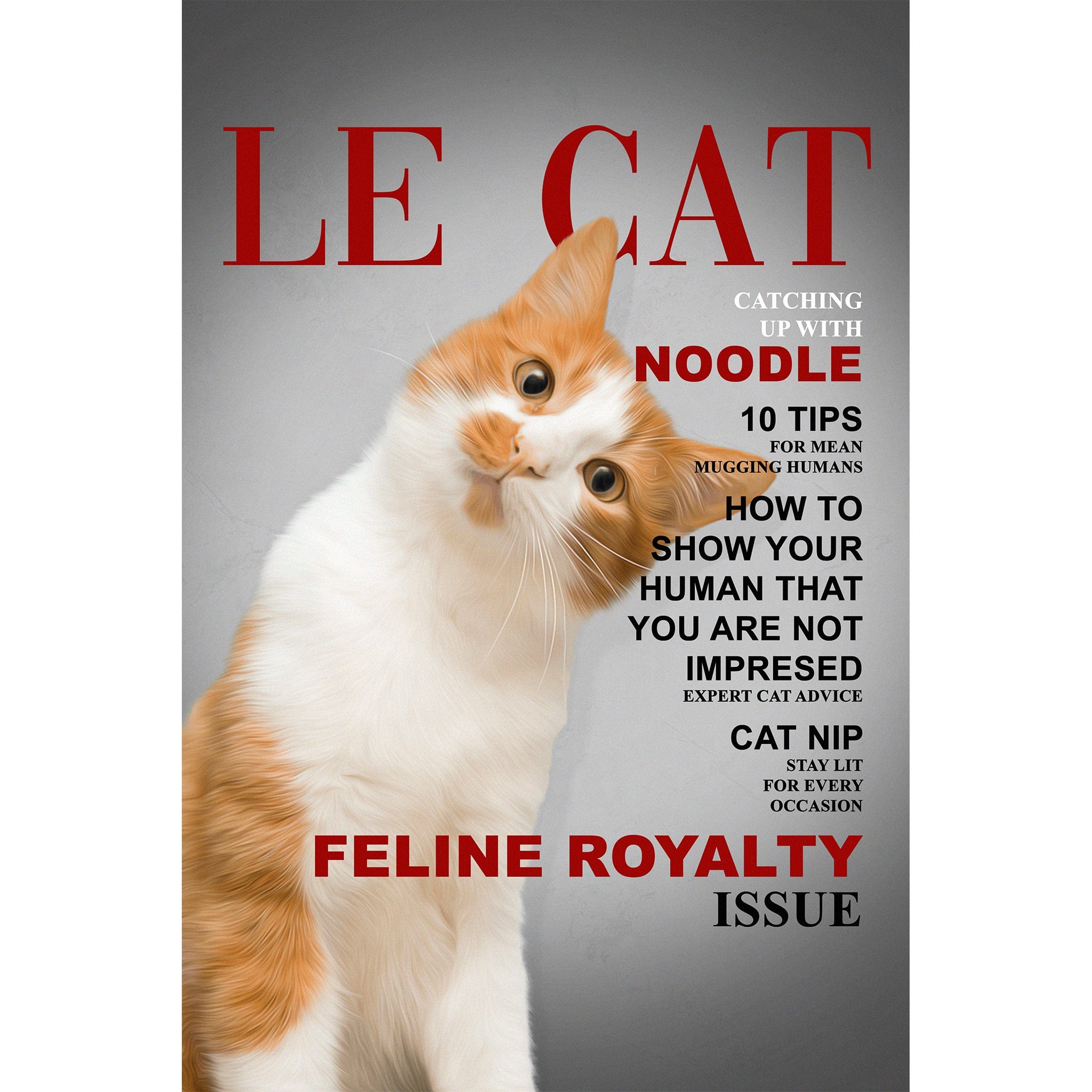 Custom digital portrait of an orange and white cat on a magazine cover.