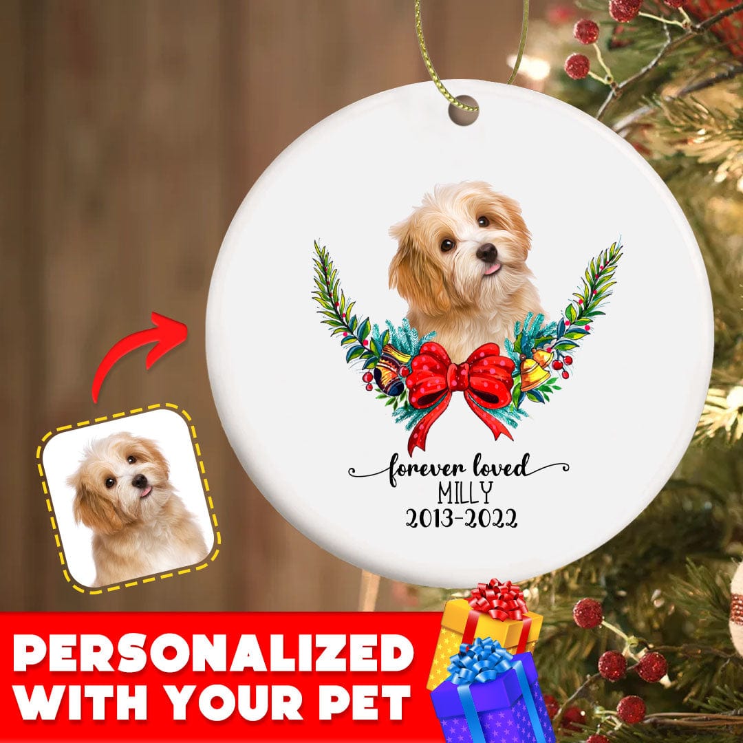 Personalized Pet Ornaments: Digital Illustration (8 Backgrounds)