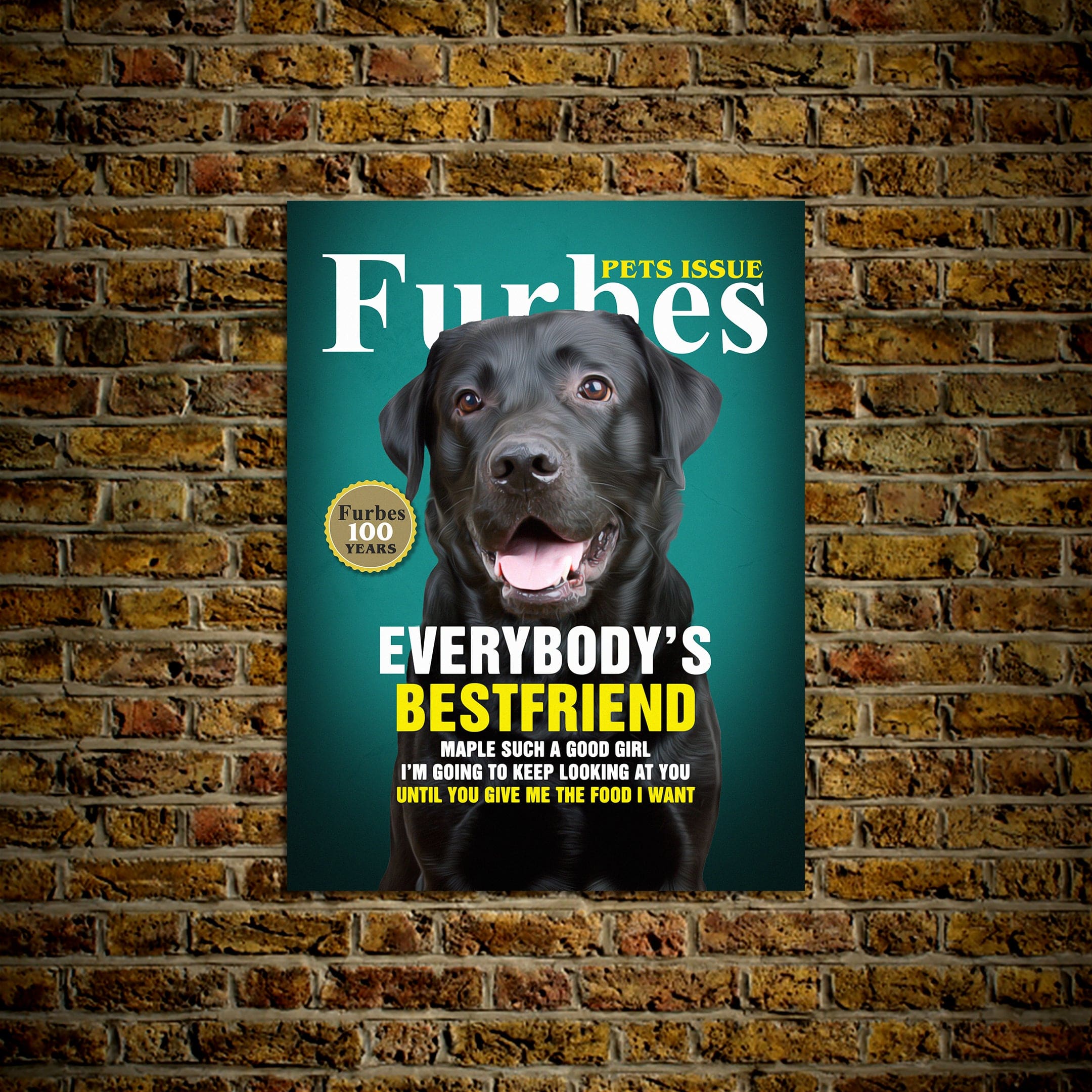 &#39;Furbes&#39; Personalized Pet Poster