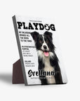 'Playdog' Personalized Pet Standing Canvas