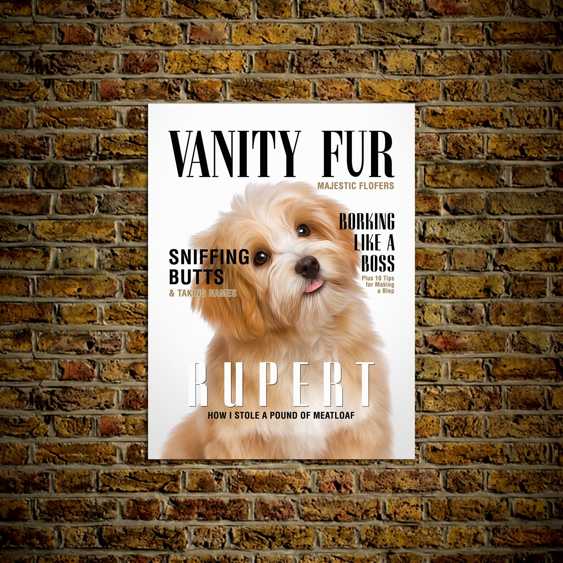 Póster de mascota personalizada &#39;Vanity Fur&#39;