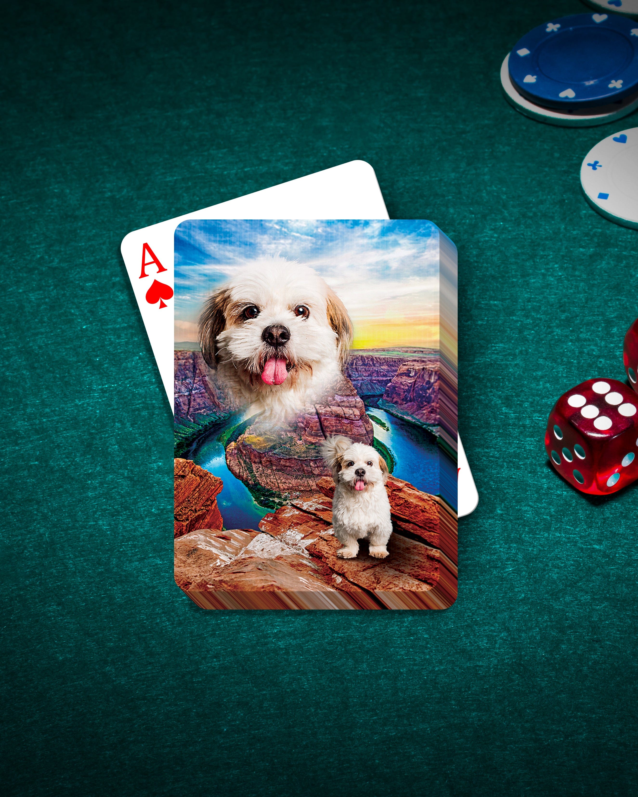 Personalized pet playing cards featuring a Shih Tzu dog portrait over a Grand Canyon landscape.
