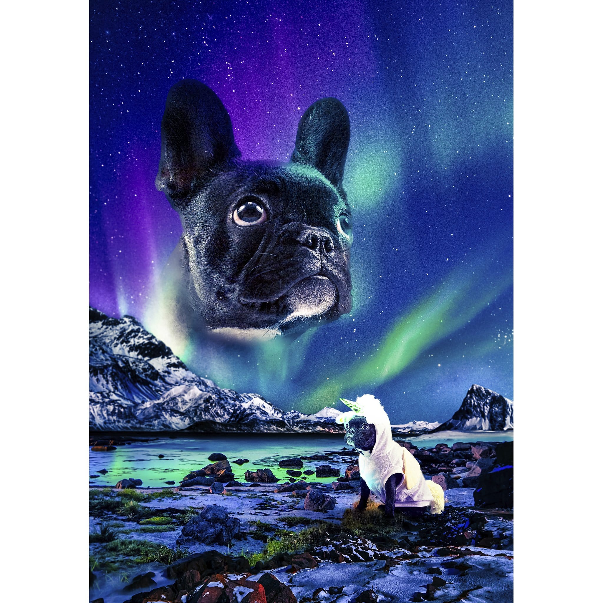 Custom digital portrait of a French Bulldog with a majestic Northern Lights background.
