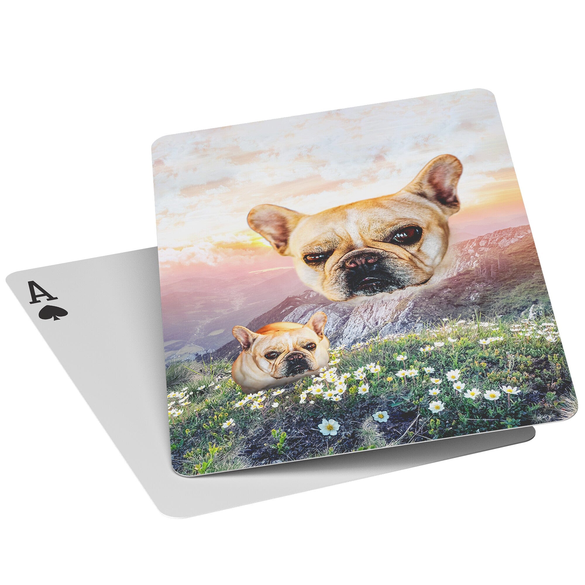 &#39;Majestic Mountain Valley&#39; Personalized Pet Playing Cards