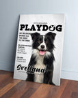 Custom 'Playdog' pet canvas featuring a black and white Border Collie on a magazine cover design.