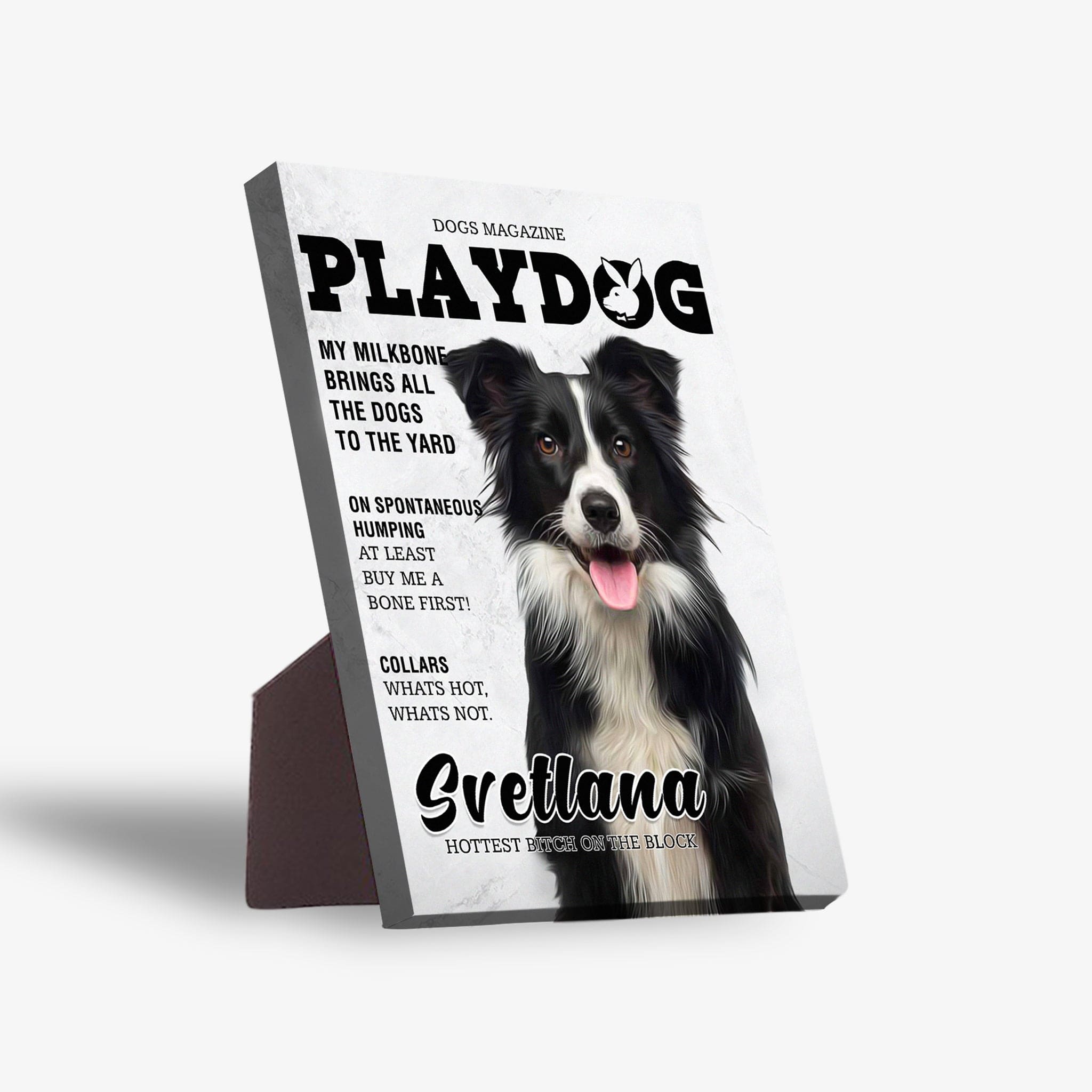 Personalized 'Playdog' standing canvas featuring a black and white Border Collie portrait.