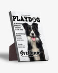 Personalized 'Playdog' standing canvas featuring a black and white Border Collie portrait.