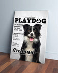 'Playdog' Personalized Pet Canvas