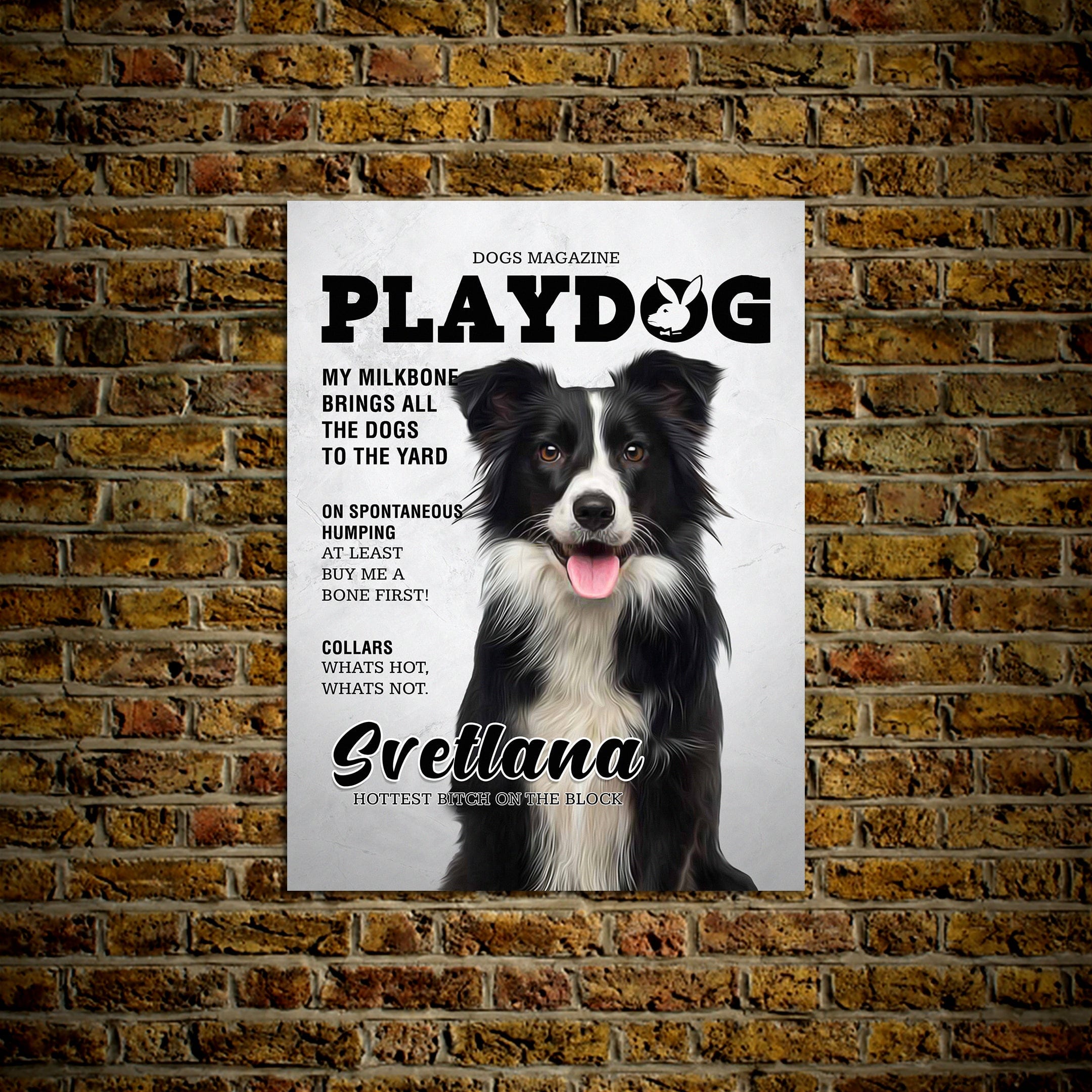Póster de mascota personalizada &#39;Playdog&#39;