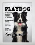 Póster de mascota personalizada 'Playdog'