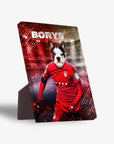 Personalized pet standing canvas featuring a French Bulldog in a red soccer jersey with "BORYS" above.