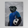 'The Soccer Player' Personalized Pet Blanket