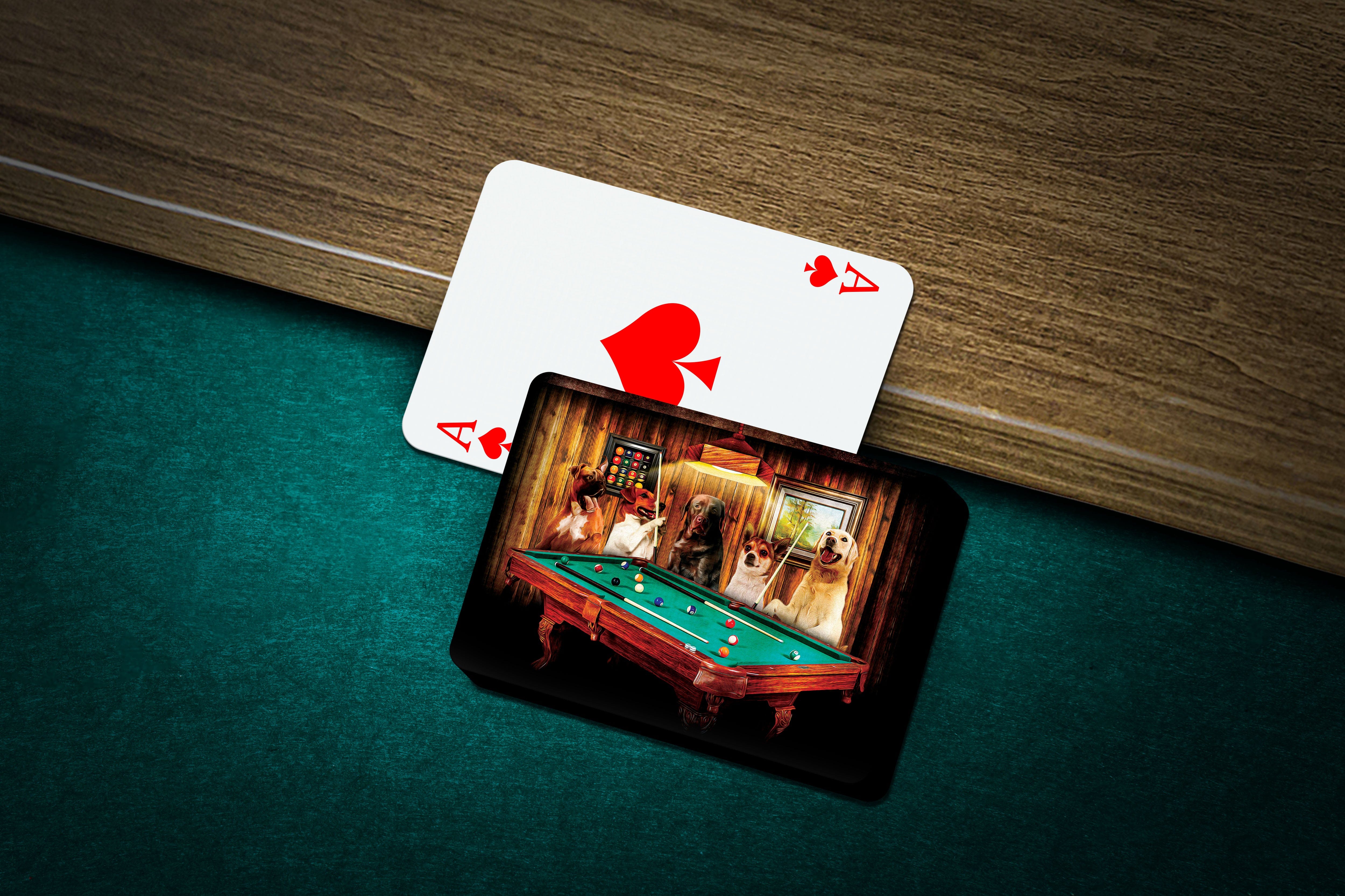 Personalized playing cards featuring five pets as 'Pool Players' in a custom cartoon style.