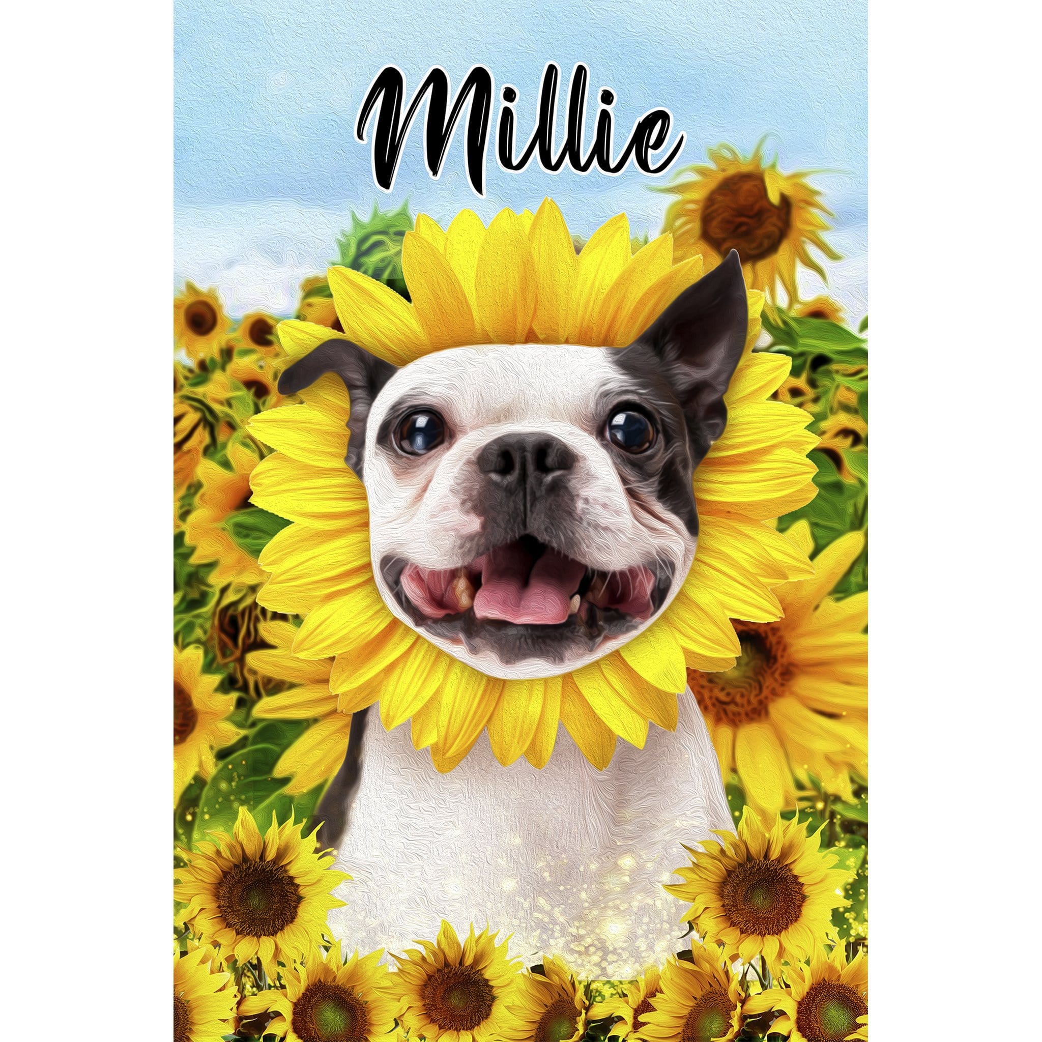 Personalized digital portrait of a Boston Terrier dog in a sunflower field with a sunflower collar, named Millie.
