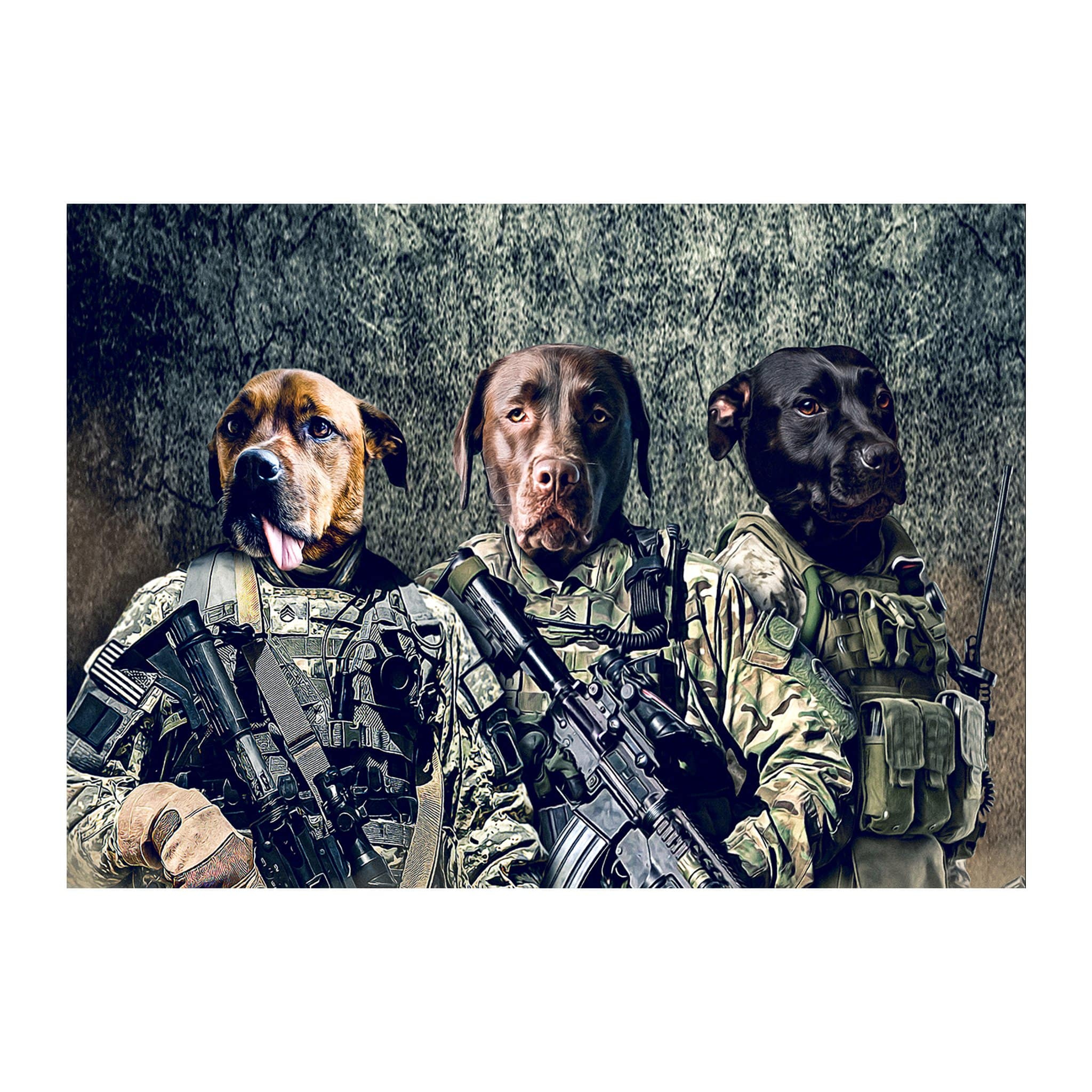 &#39;The Army Veterans&#39; 3 Pet Digital Portrait