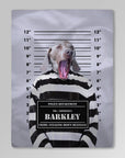 Manta personalizada para mascotas 'The Guilty Doggo' 