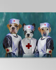 'The Nurses' Personalized 3 Pet Blanket