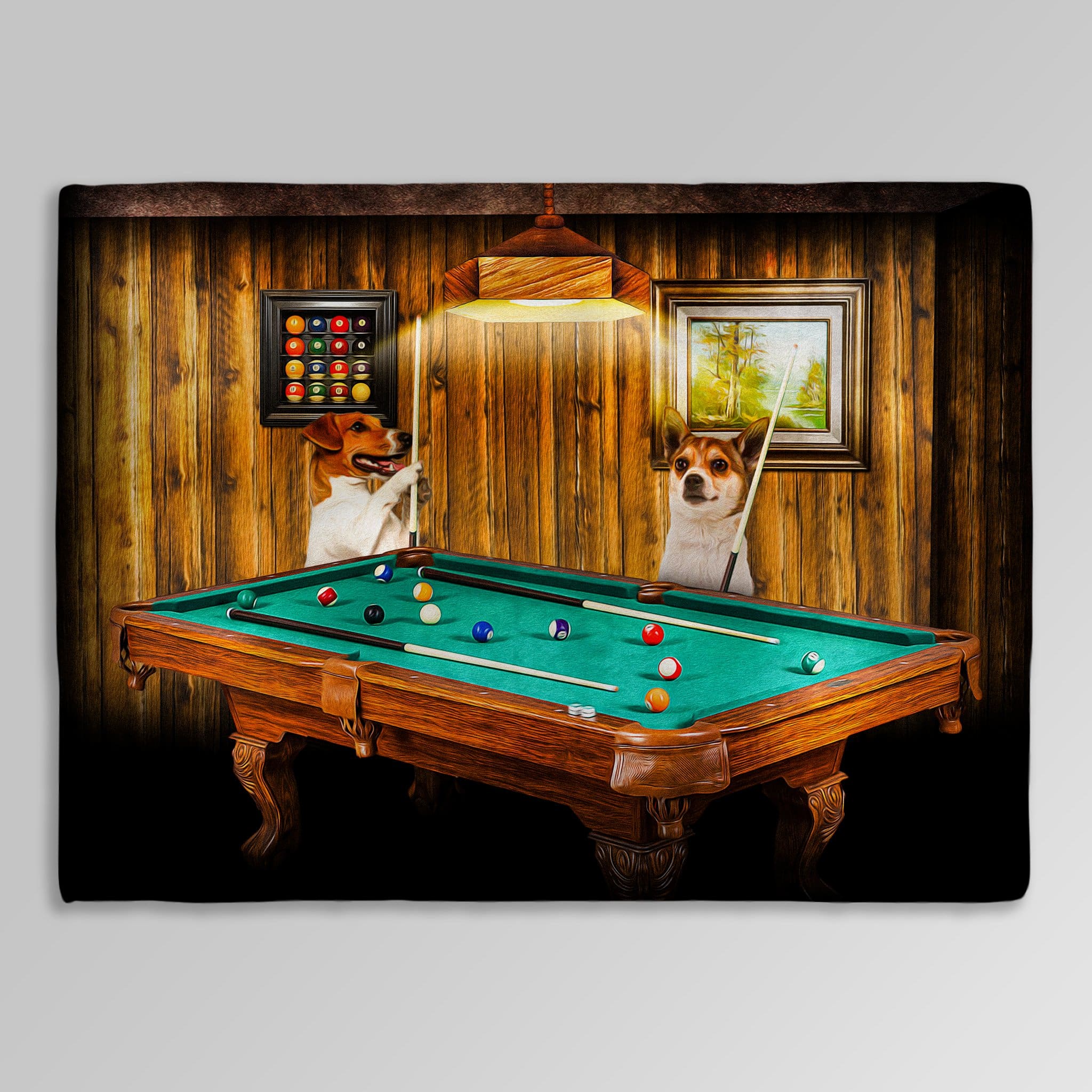 &#39;The Pool Players&#39; Personalized 2 Pet Blanket