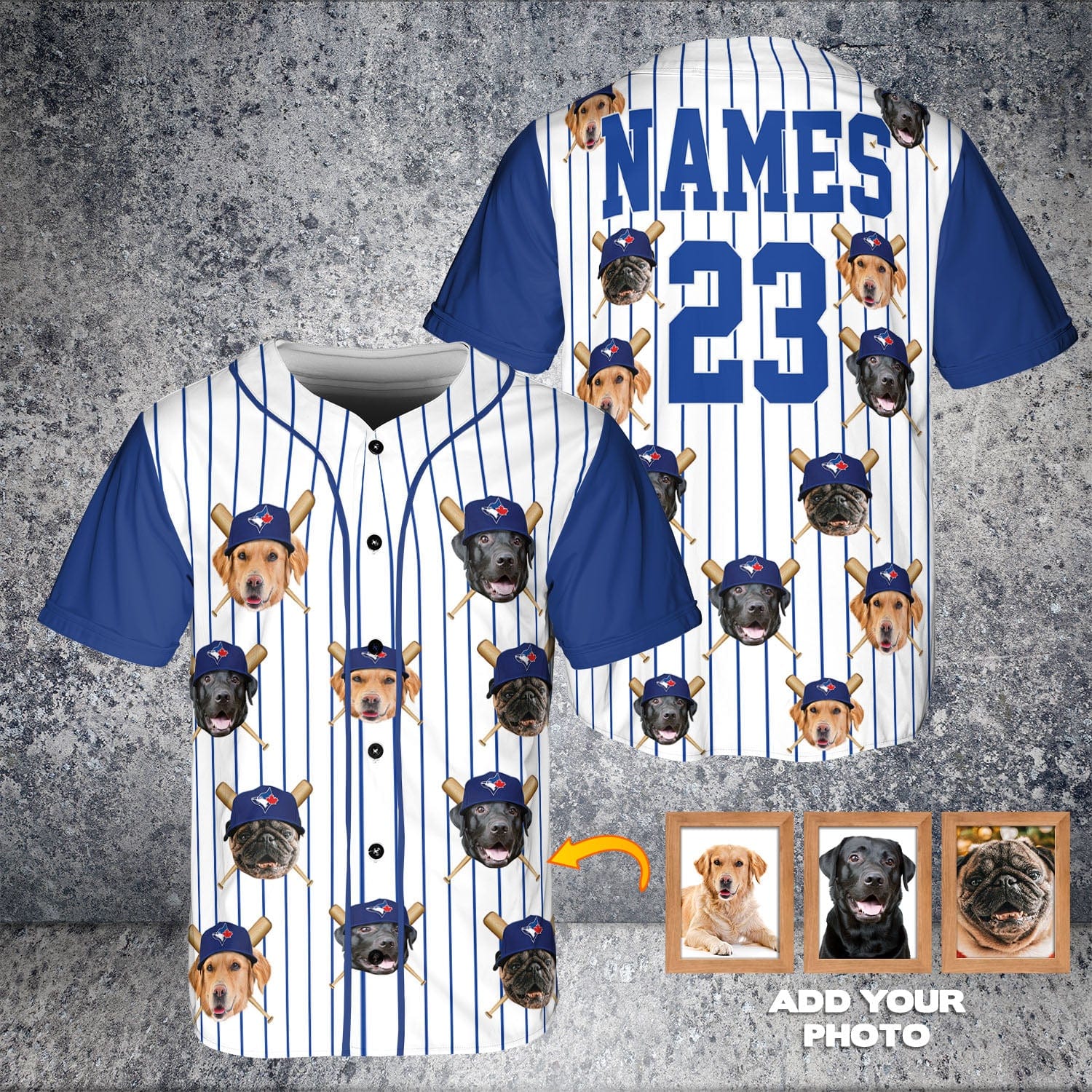 Toronto Blue Dogs Custom Baseball Jersey