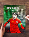 Personalized pet puzzle featuring a dog in a red Wales soccer jersey, with the name DYLAN.