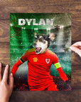 'Wales Doggos Soccer' Personalized Pet Puzzle