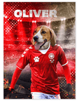 'Denmark Doggos Soccer' Personalized Pet Poster