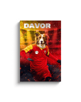 Lienzo personalizado para mascotas 'Montenegro Doggos Soccer'