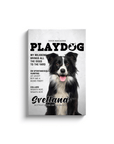 'Playdog' Personalized Pet Canvas